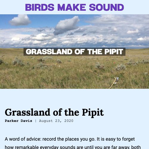 Birds Make Sound blog screenshot