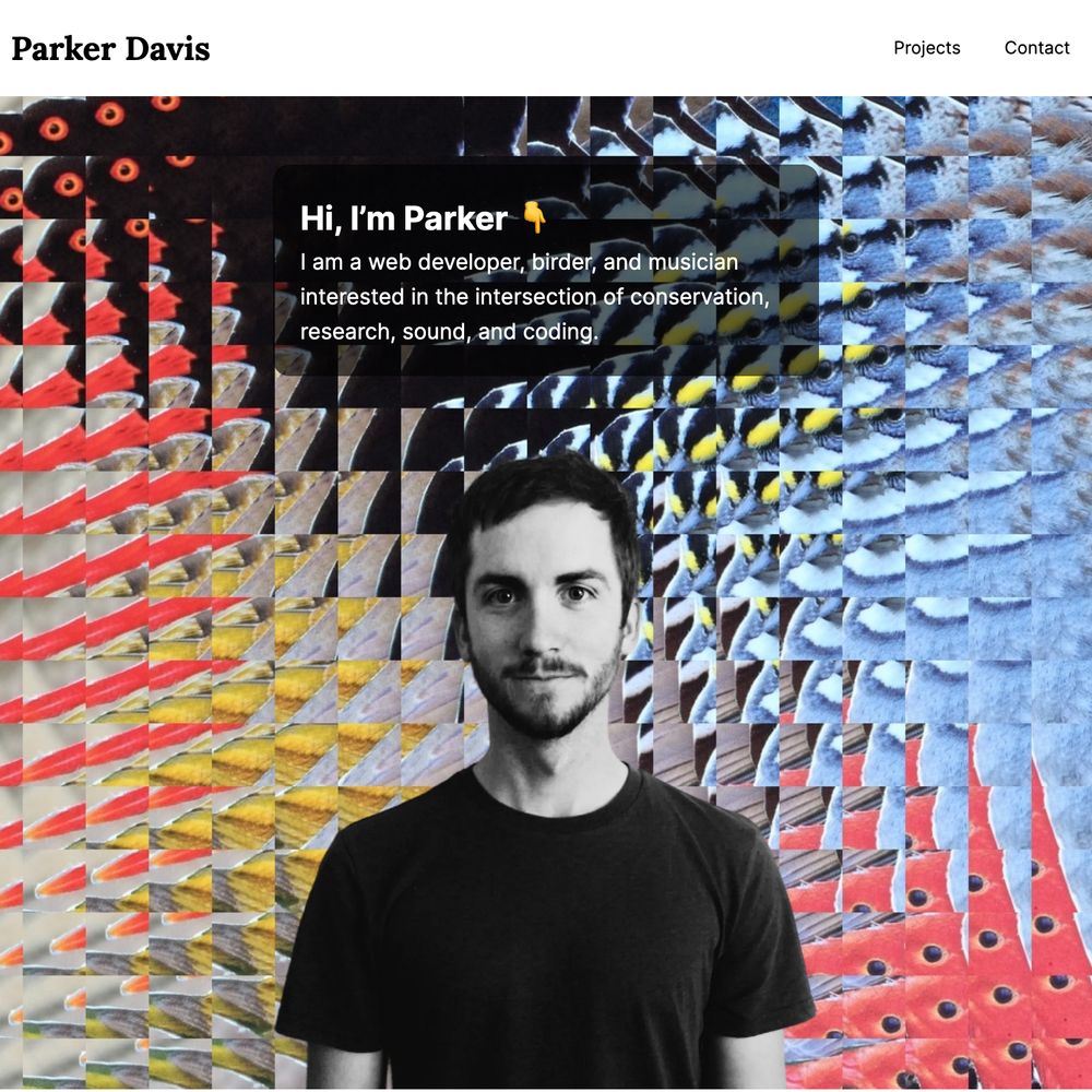 Screenshot of Parker Davis portfolio site